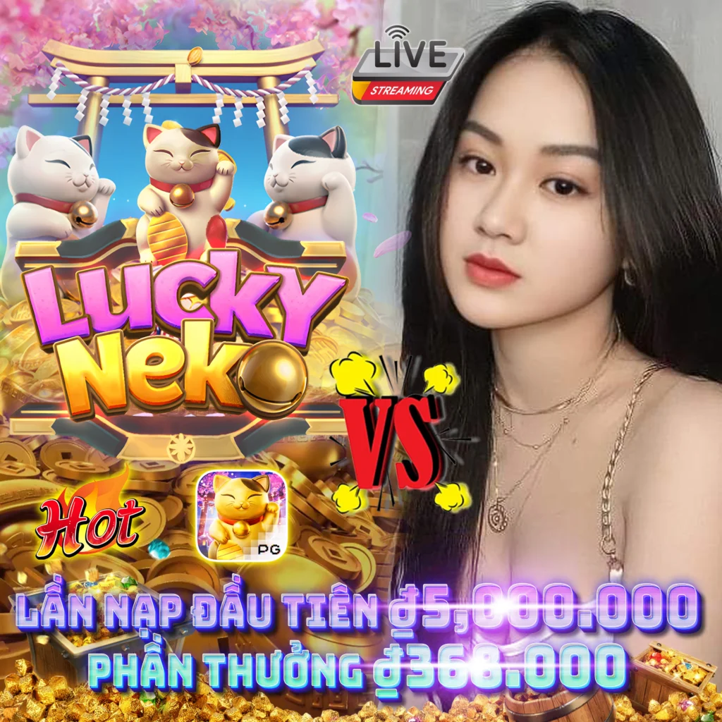 HOT51 apk mod casino and live stream